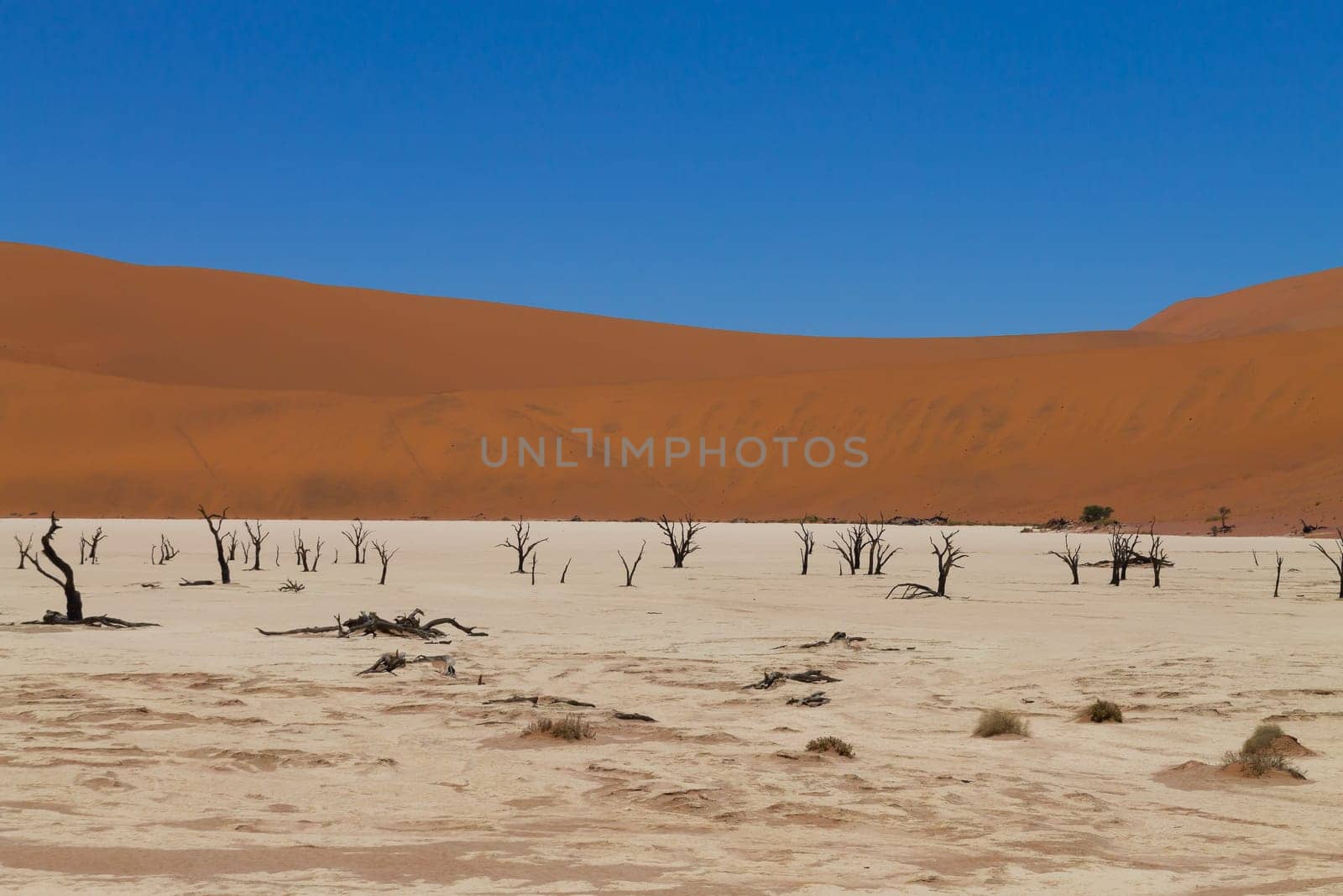 A view from Dead Vlei, Sossusvlei Namibia