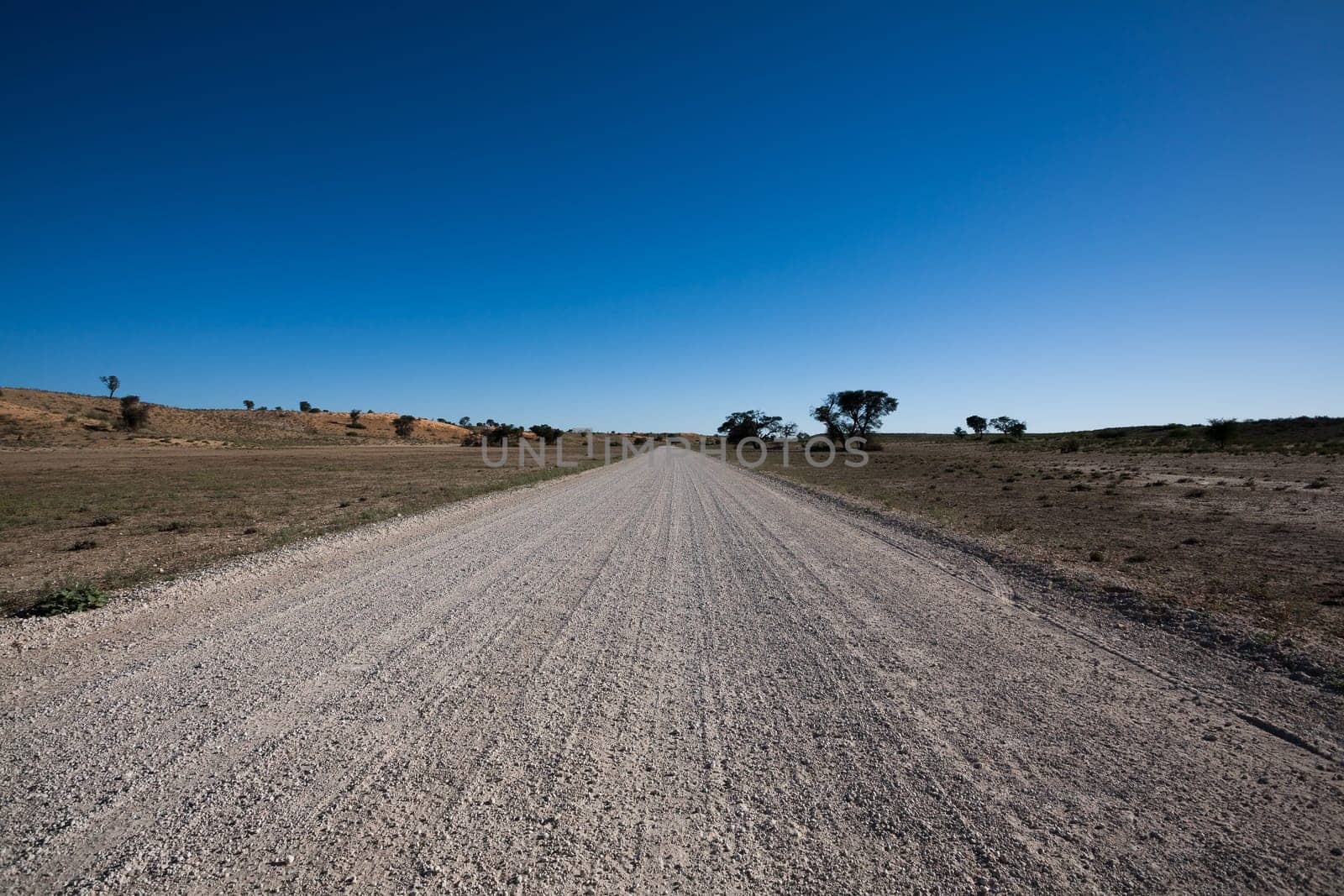Road from Kgalagadi Transfontier park, South Africa