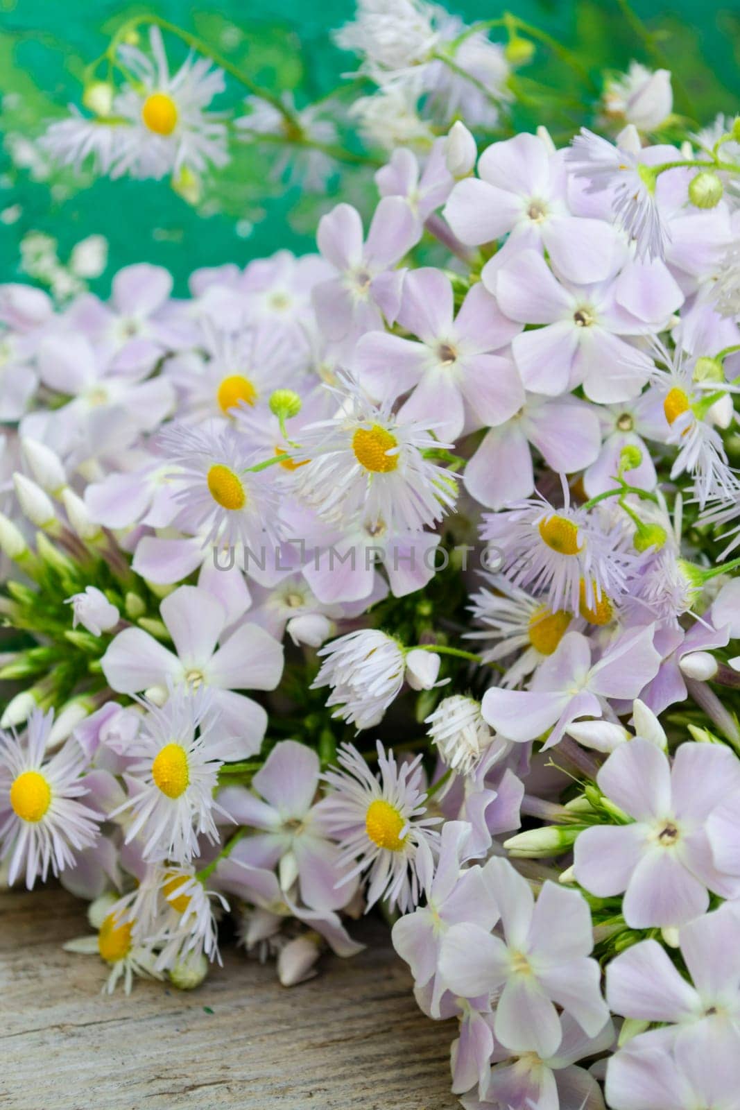 bouquet of dasies on shabby turquoise background. Concept of freedom. close up. Vertical image