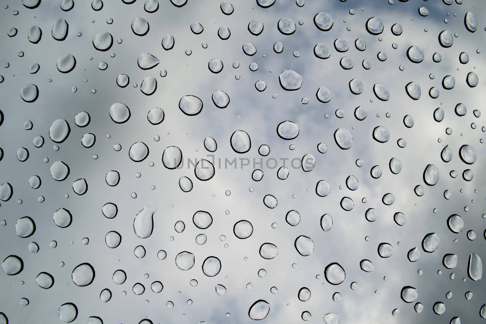 The concept of water drops on a white background close up