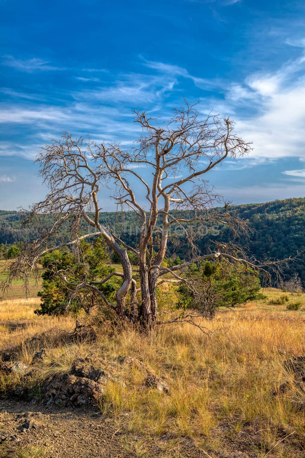 Landscape of National Nature Reserve Mohelen Snake Steppe, Educational trail, Trebic, Vysocina Czech Republic