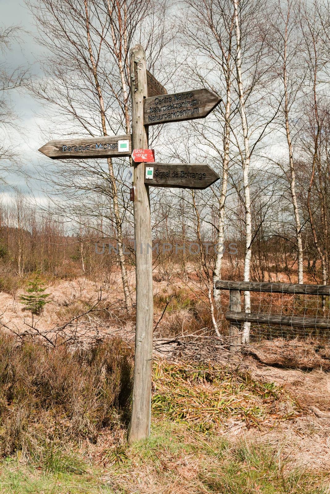 The High Fens, Hoge Venen, Belgium, Signal Van Botrange