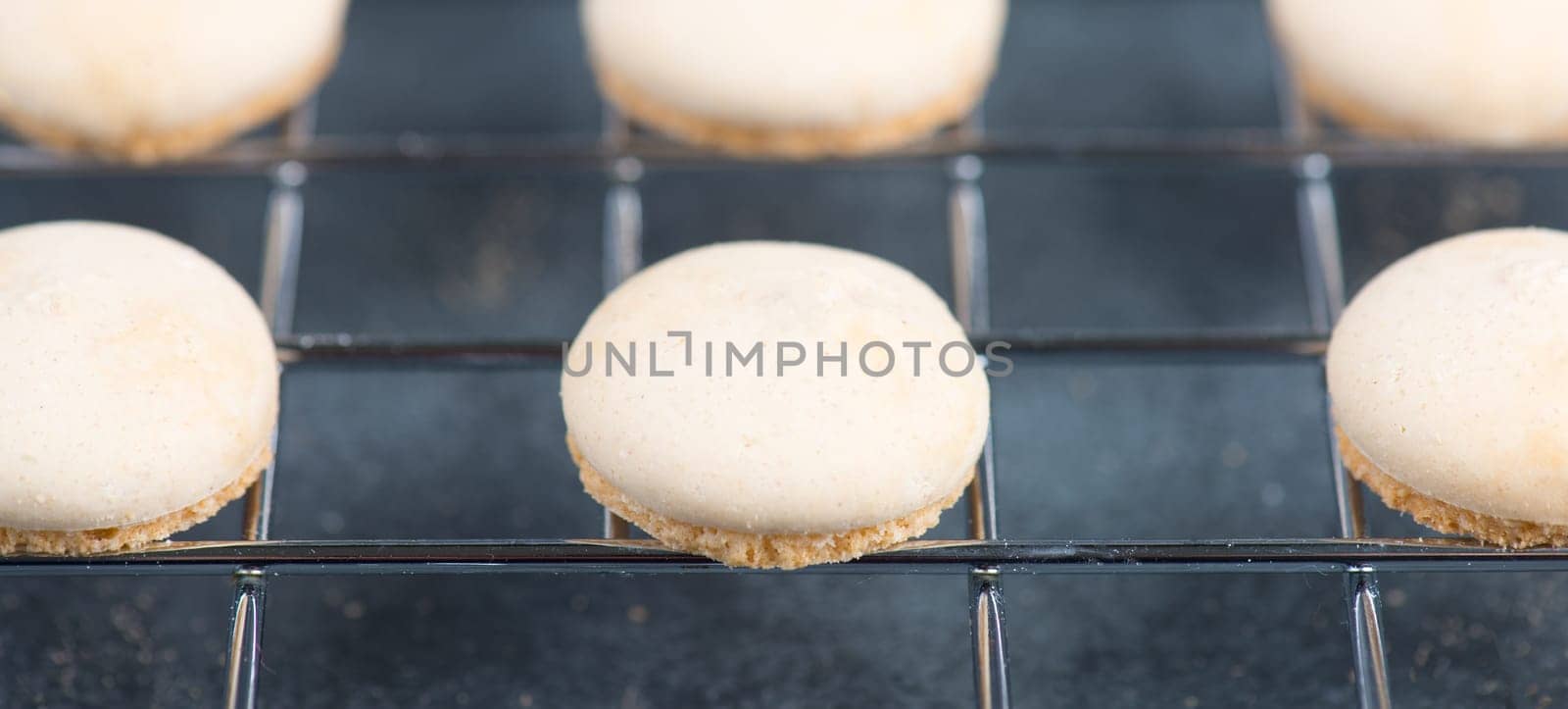 Anise biscuits, german traditional christmas sweets