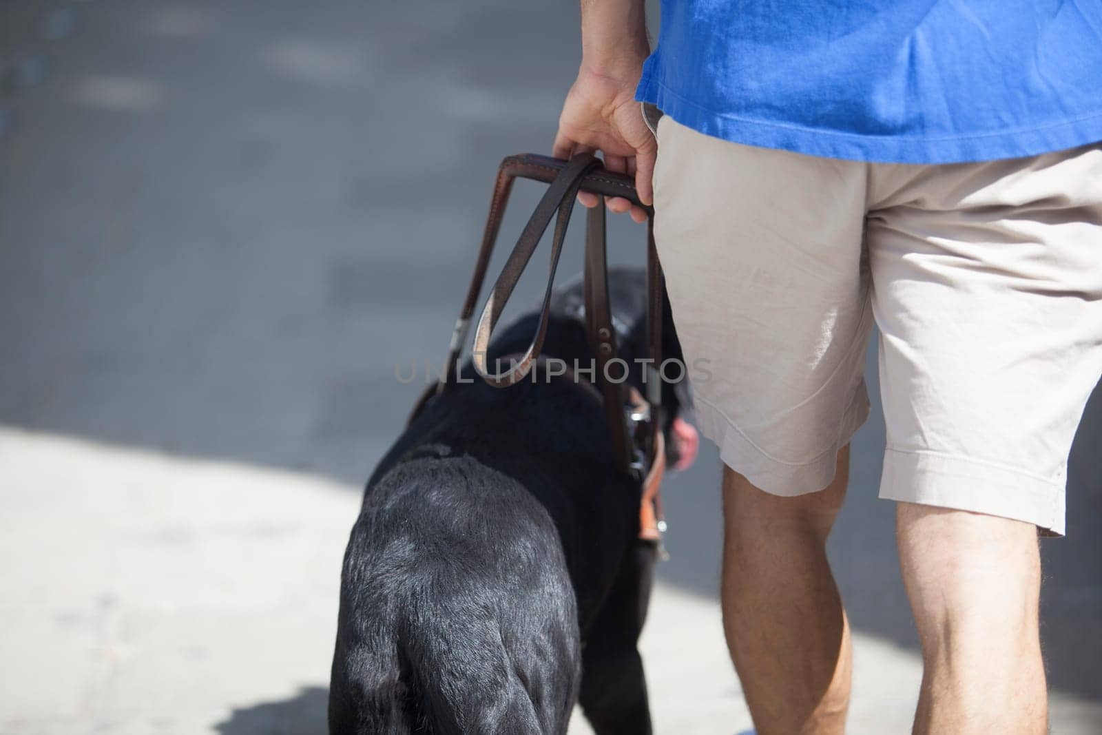 Young blind man walking with black dog guide. Selective focus