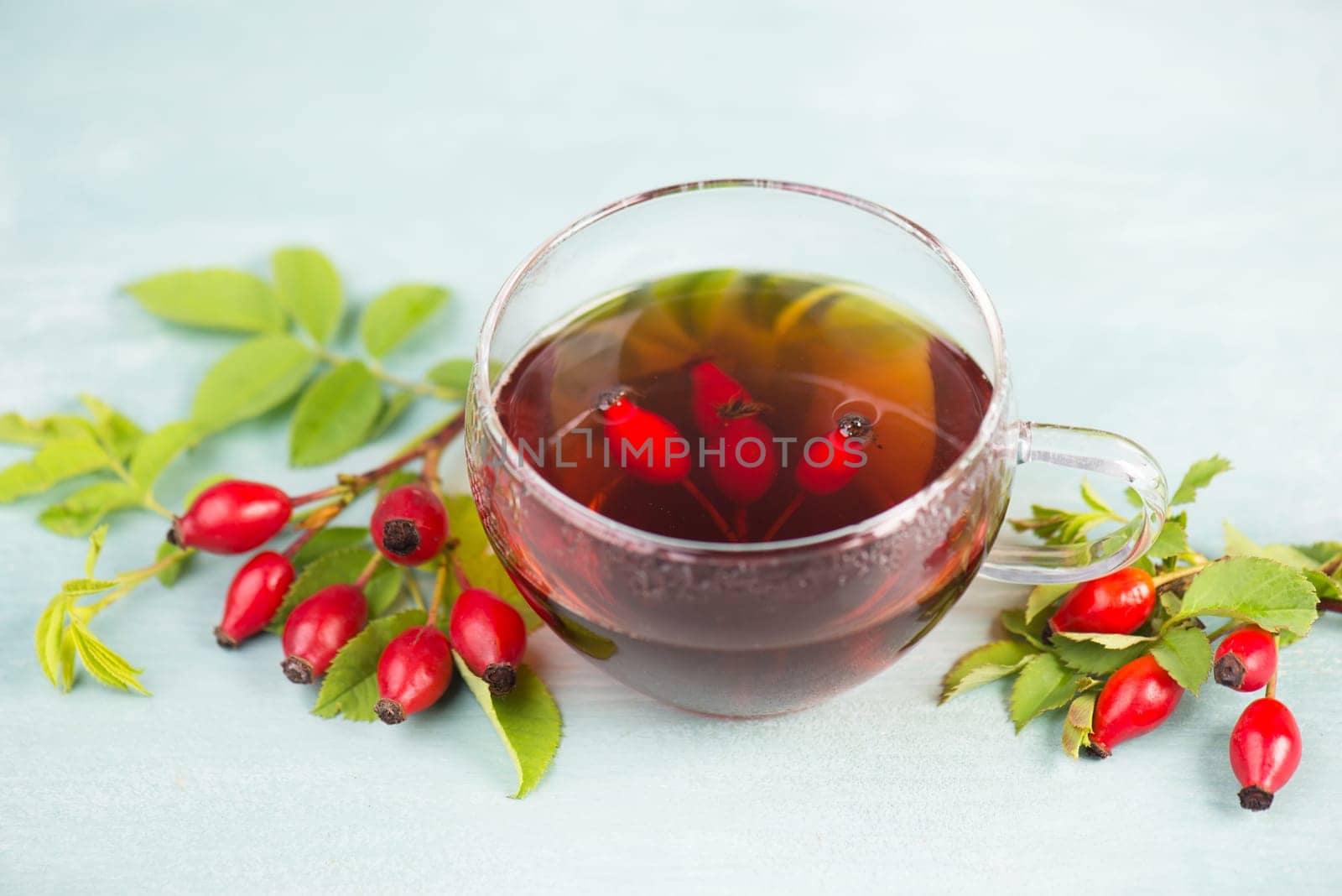 Hip rose tea with fresh fruits and leaves, hot drink