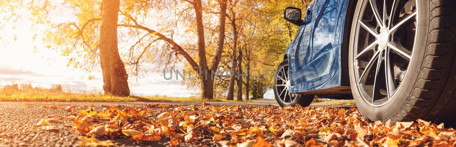 Blue car on the road in the natural park. Panoramic view of the autumnal way with tree's trunk on the side of it.