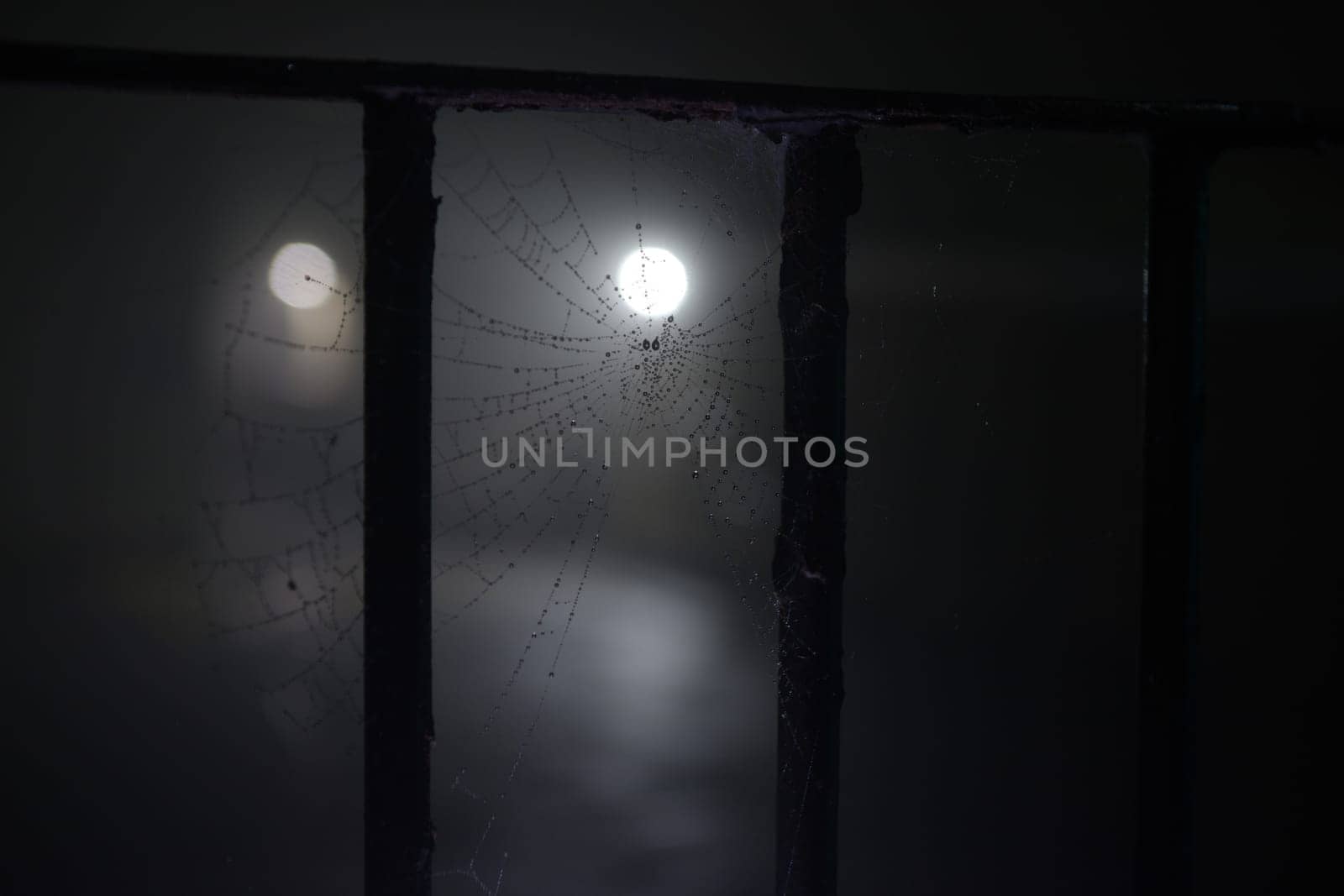 Water droplets from the heavy fog condense on the spooky cobweb that hangs between metal railings. Lit by distant street lights at night, dark image