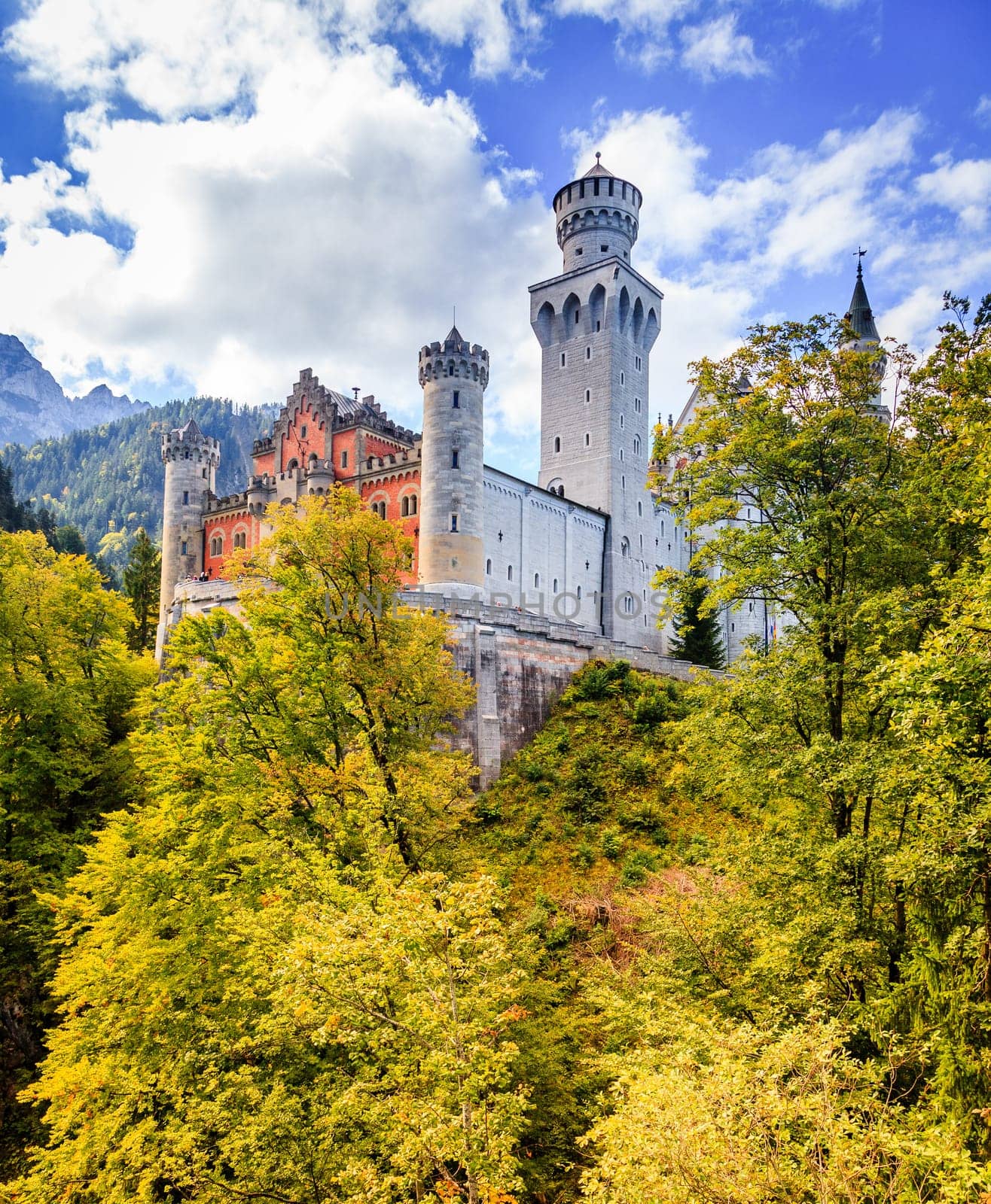 View of the Neuschwanstein Castle in Bavaria