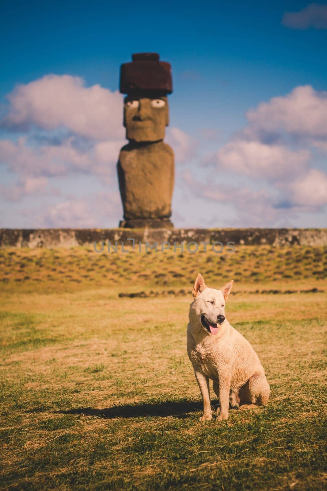 Moai at Ahu Tongariki, Easter island, Chile
