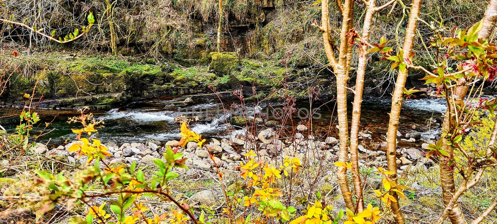 Afon Twrch river in Cwmtwrch village, Swansea, Wales, United Kingdom