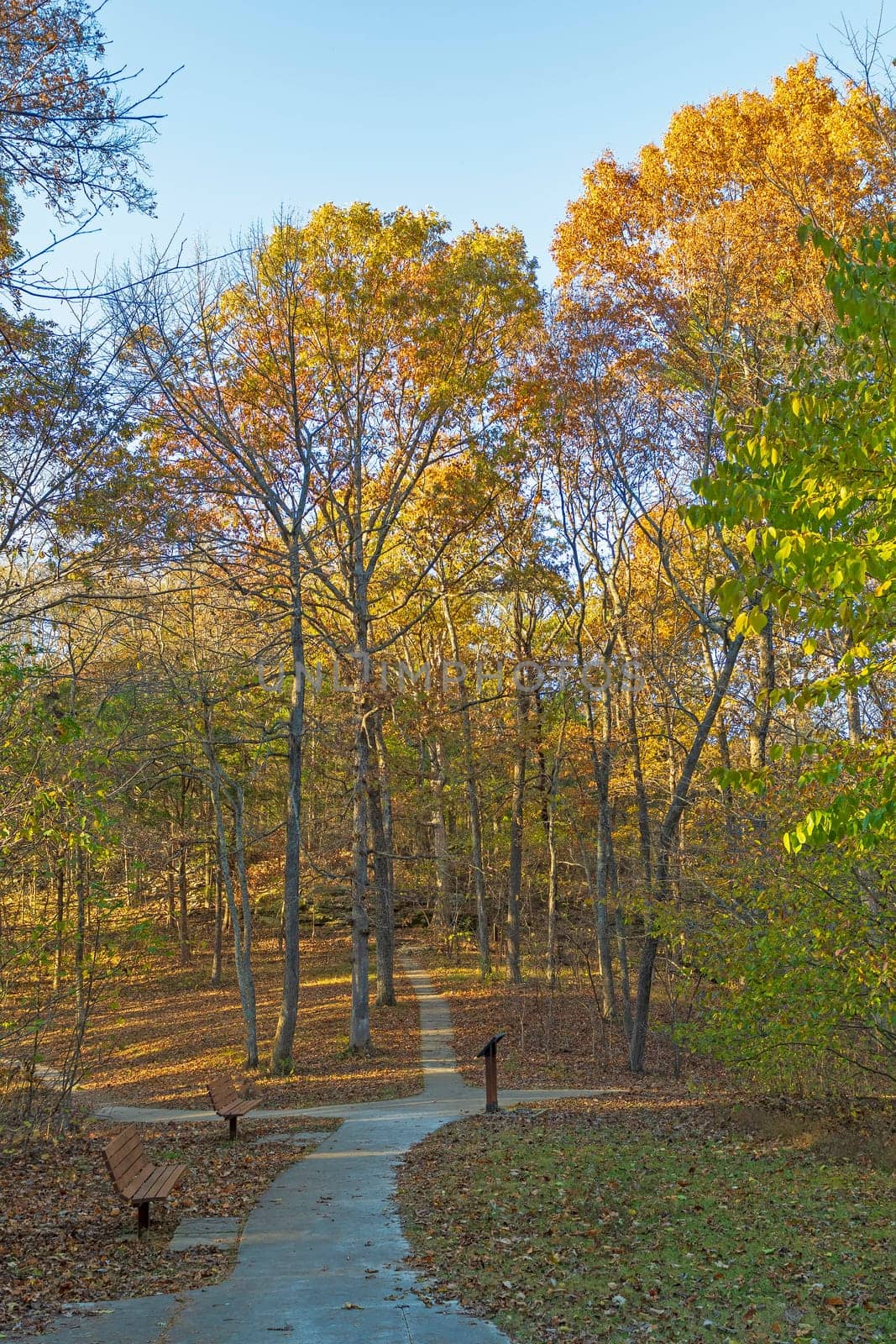Inviting Trail in the Fall Forest in the Rim Rock National Trail in Illinois