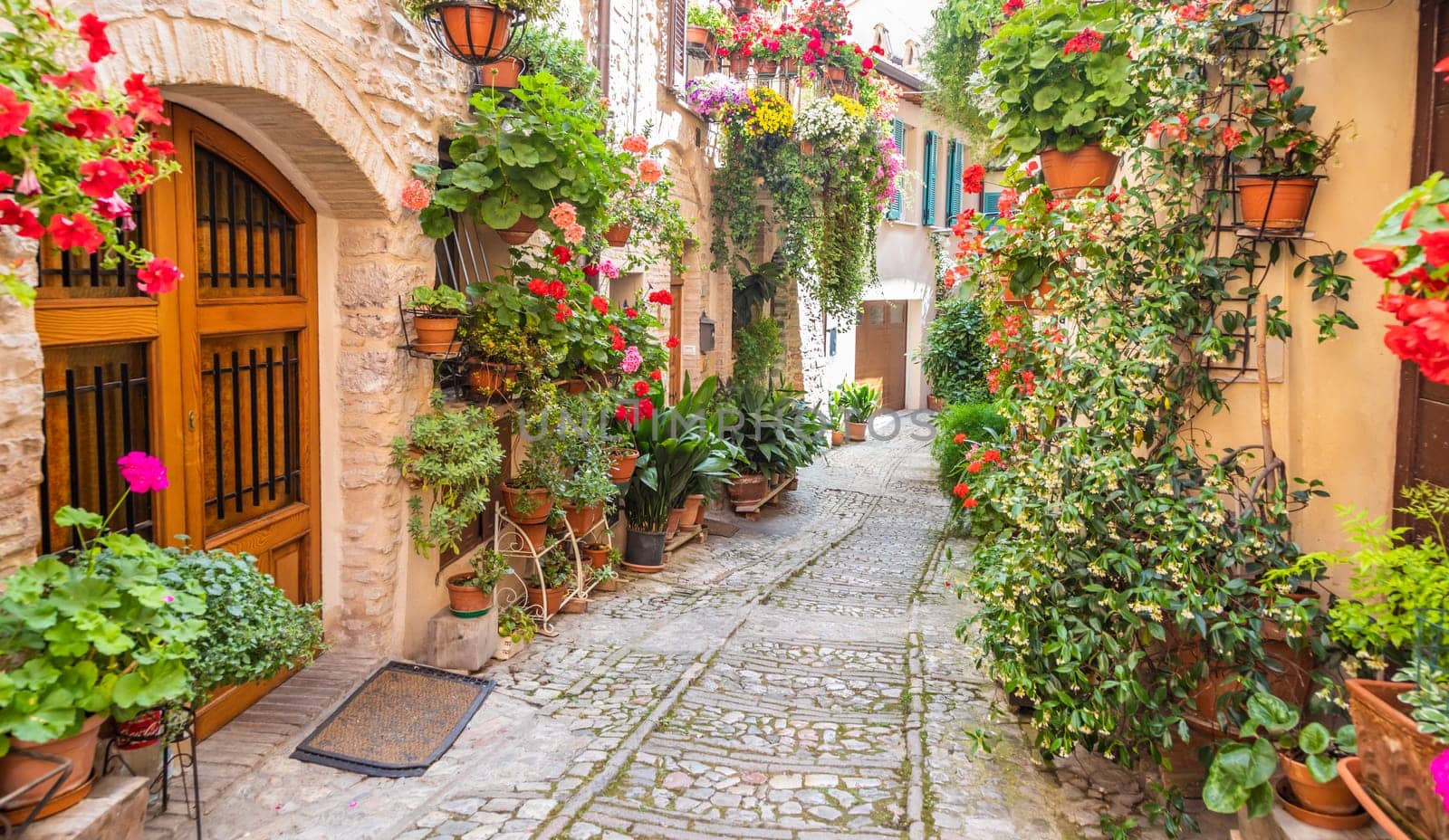 Spello, Italy - Circa June 2021: flowers in ancient street. Spello is located in Umbria region, Italy.