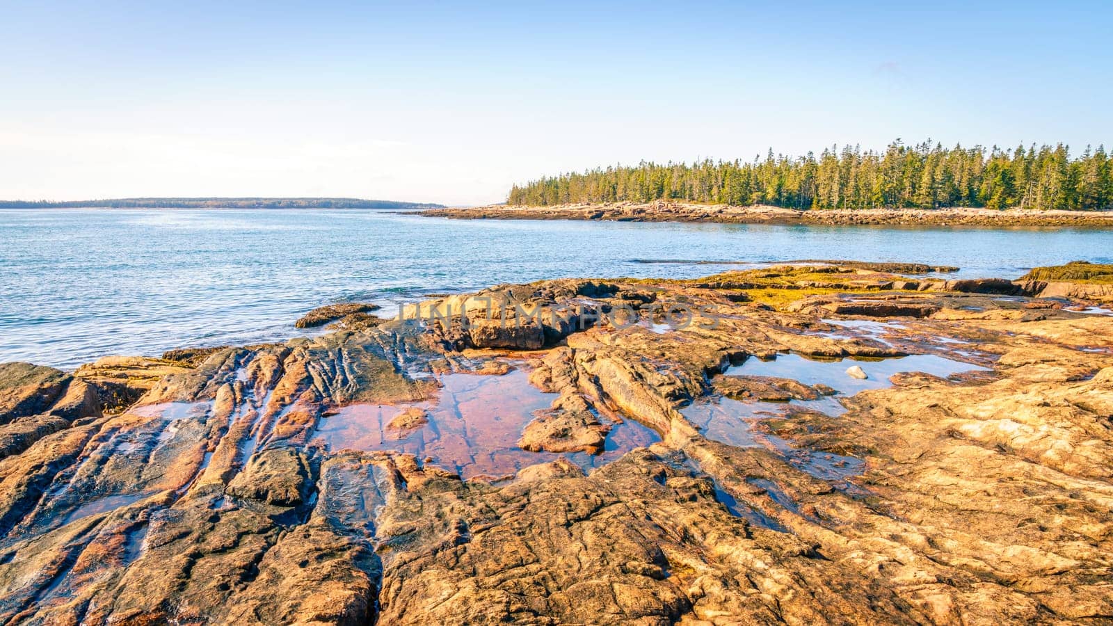 Rocky coastline in Acadia National Park in Maine