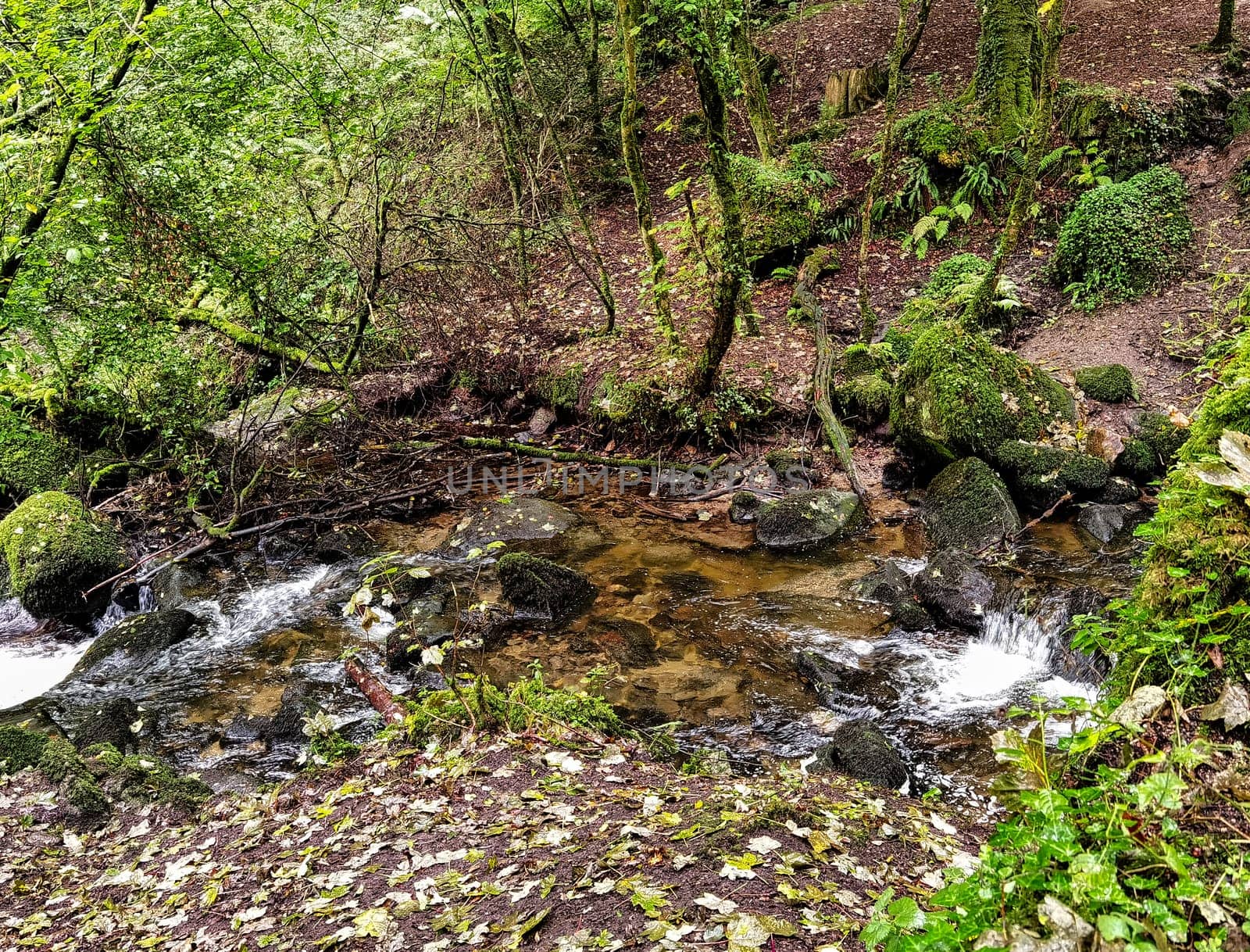 Kennall river in Kennall Vale Nature Reserve, Ponsanooth, Cornwall, United Kingdom