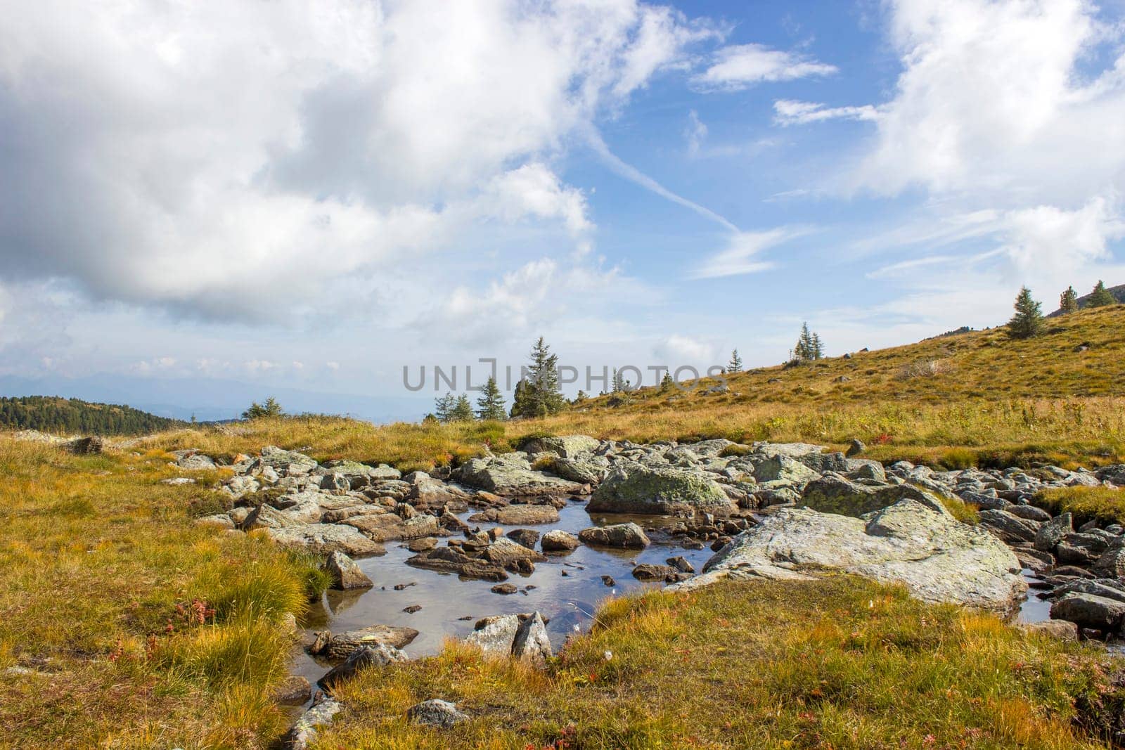 A clear mountain stream on the green meadows in the Austrian Alps, Steiermark, Austria