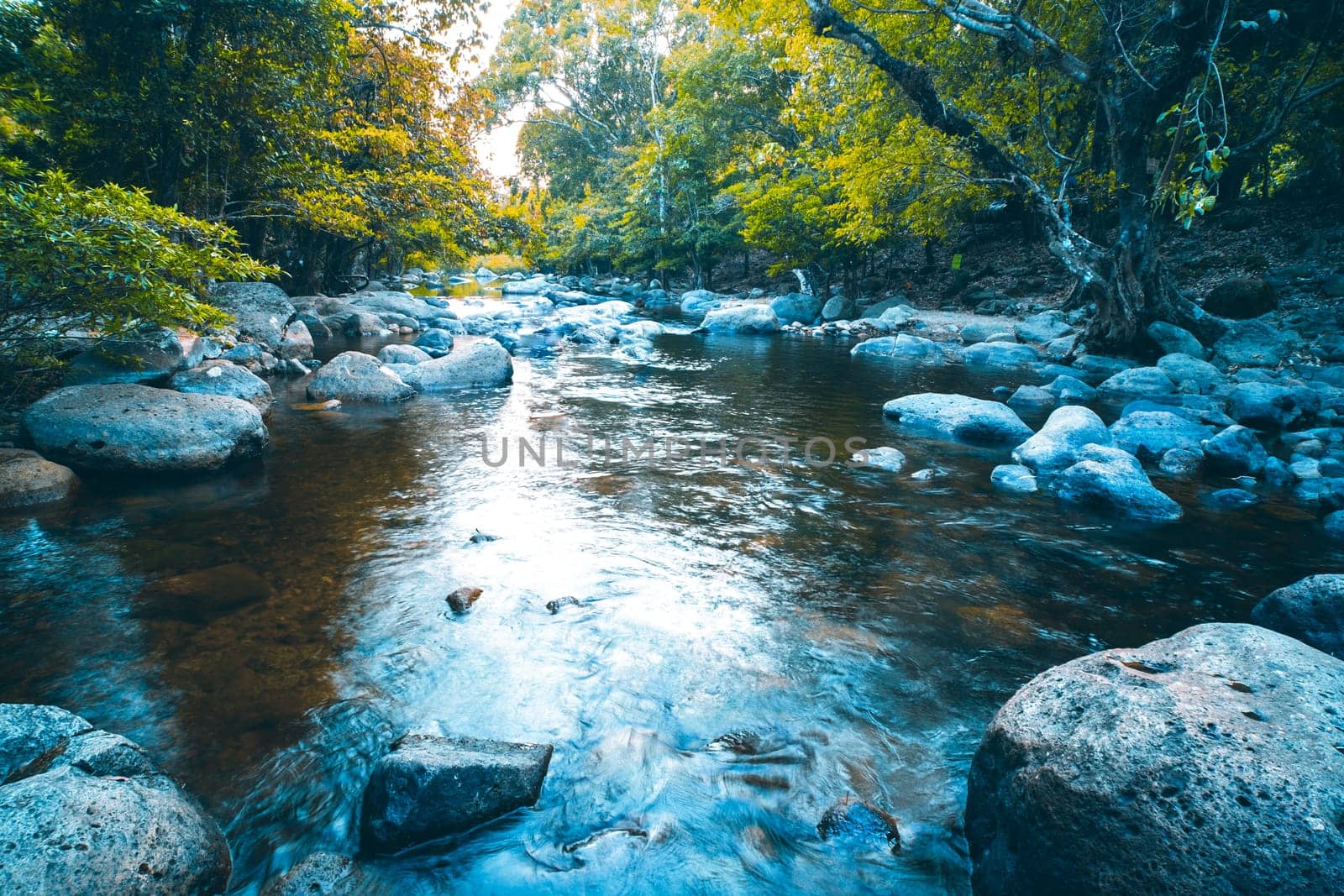 Jungle landscape with amazing stream at deep tropical rain forest. travel landscape and destinations Thailand South east asia