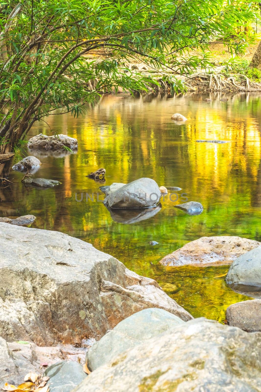 Jungle landscape with amazing stream at deep tropical rain forest. travel landscape and destinations Thailand South east asia