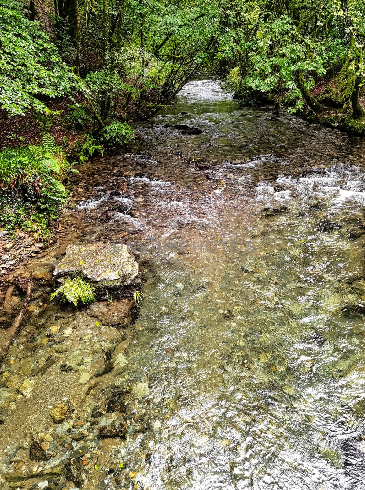 River Lyd - Lydford Gorge, Dartmoor National Park, Devon, United Kingdom
