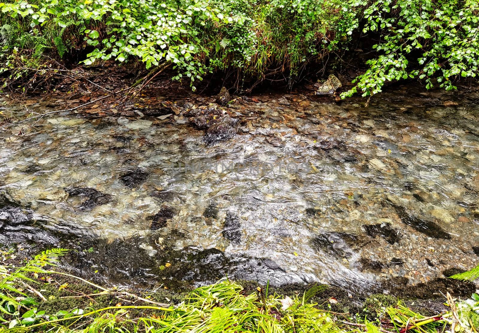 River Lyd - Lydford Gorge, Dartmoor National Park, Devon, United Kingdom
