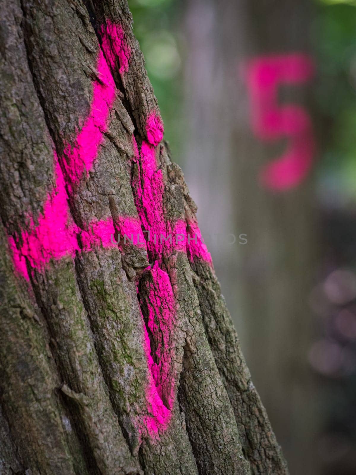 Pink numbers on trees for cutting