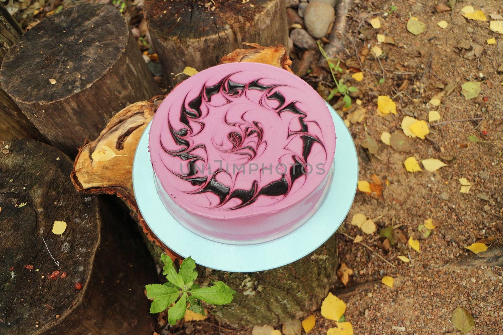 round souffle cake with chocolate pattern from natural products in nature in autumn
