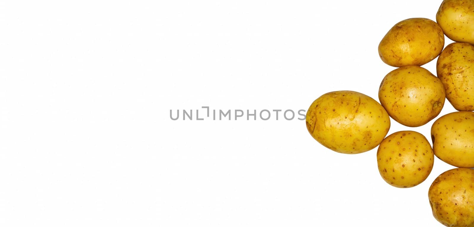 Harvest of yellow potatoes on a white background. Potato harvest. Agricultural business. Farm. Shop window. Raw food. Background image. Template for text.