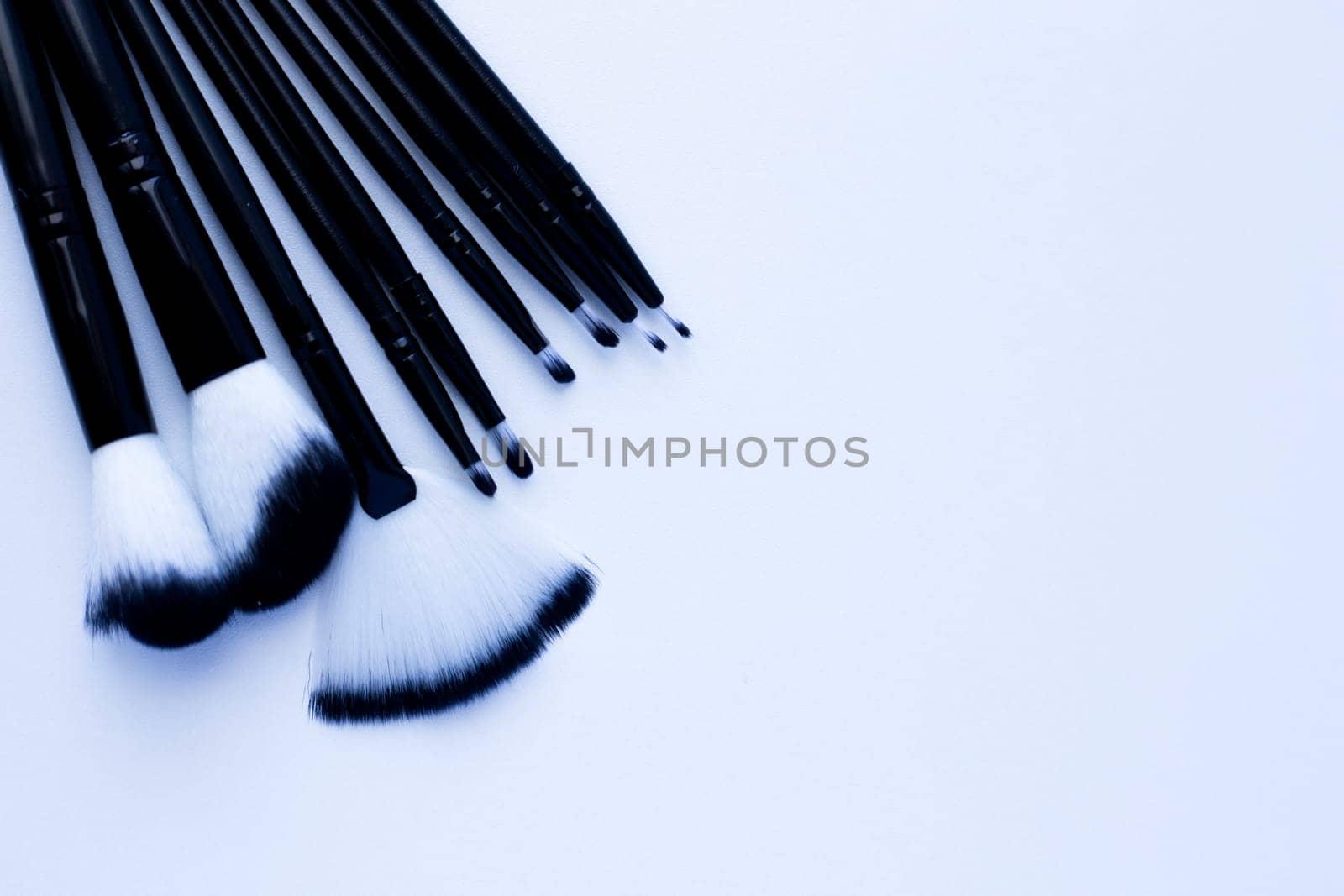 Black brushes with white and black pile for makeup of different sizes lie on a white background on the side. top view, flat lay, copy space, isolate. High quality photo