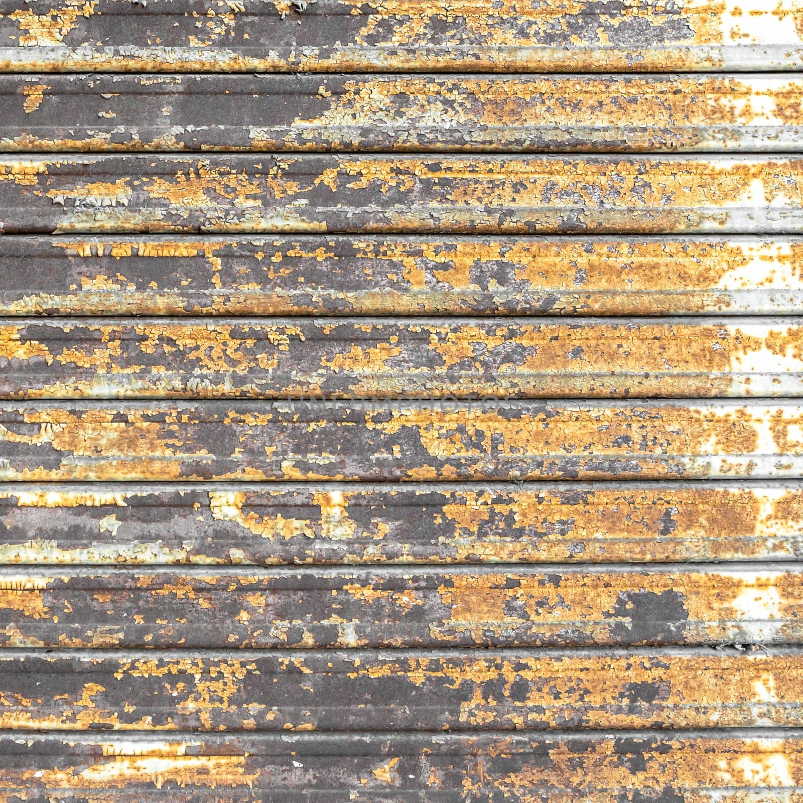 Metal shutter with peeling paint. Front view of a shutter rusted, deteriorated from elements. Ideal use for background, wallpaper.