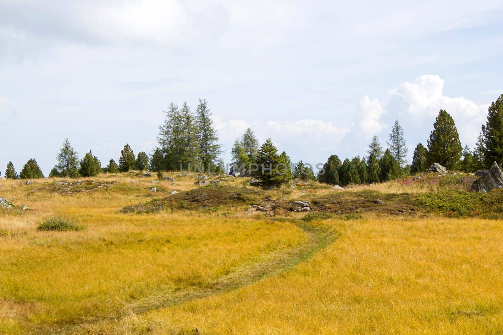 Landscape in Austian Alps, Steiermark in Austria