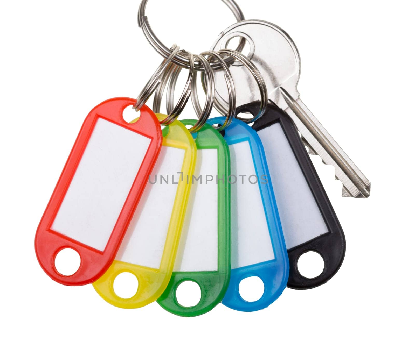 One Key With Five Tags isolated on white. Concept of multipurpose solution.
