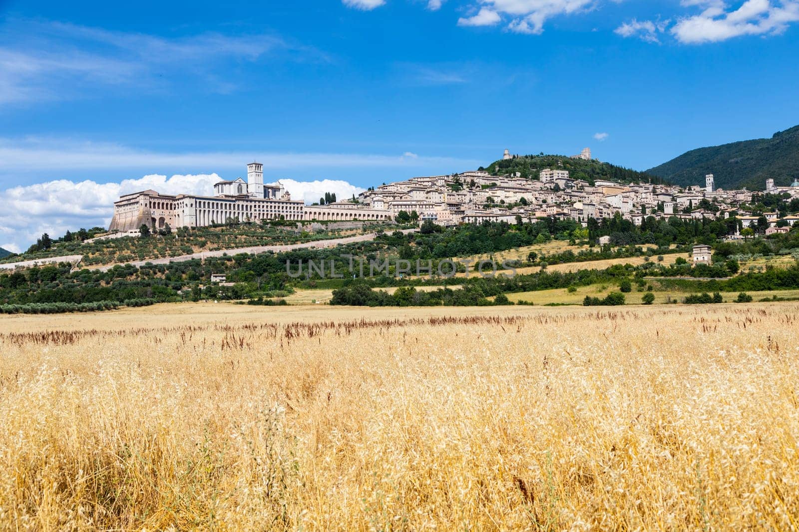 Assisi village in Umbria region, Italy. The town is famous for the most important Italian St. Francis Basilica (Basilica di San Francesco)