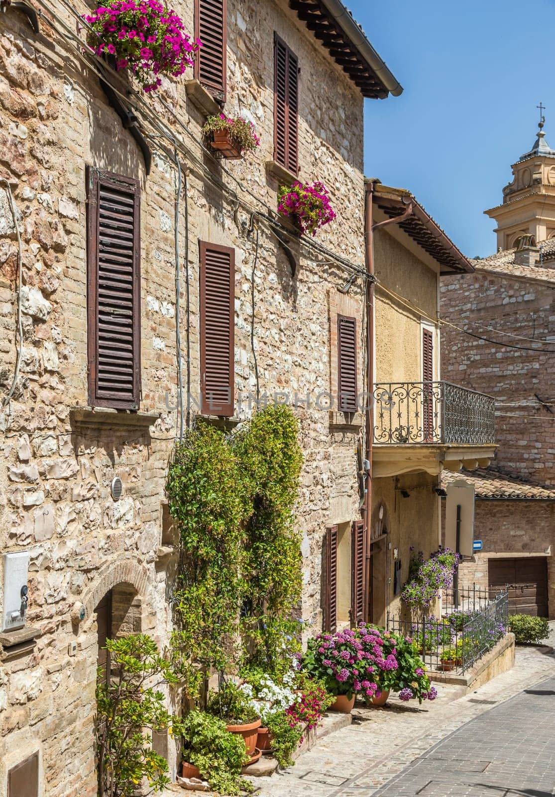 Spello, Italy - Circa June 2021: flowers in ancient street. Spello is located in Umbria region, Italy.