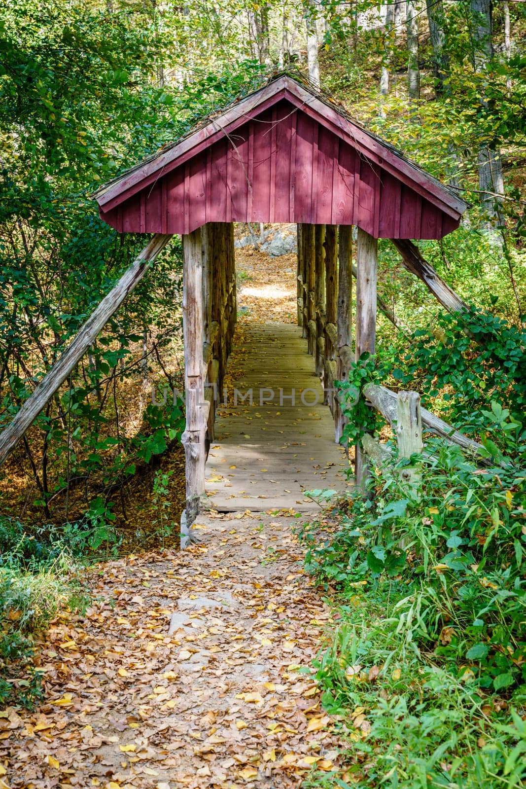 Covered footbridge on a hiking trail in Gillette Castle State Park, Connecticut