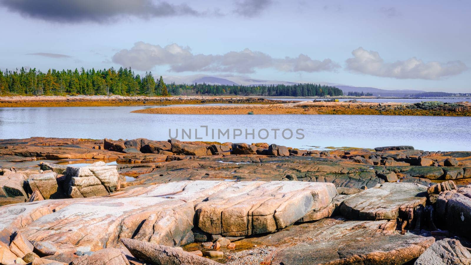 Rocky coastline in Acadia National Park in Maine