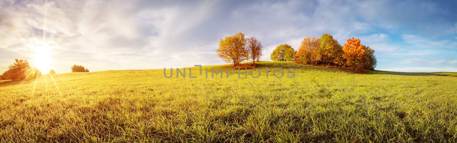 Panoramic view of the autumnal field on the sunny morning. Panorama of meadow with colourful trees on it.