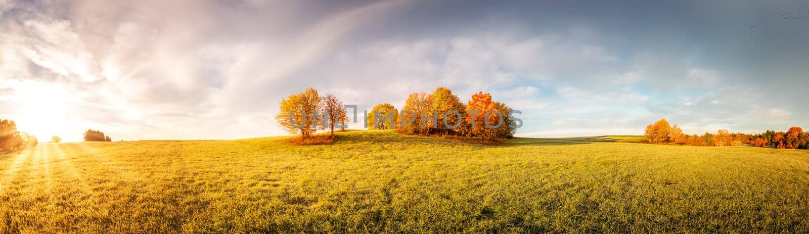 Panoramic view of the autumnal field on the sunny morning. Panorama of meadow with colourful trees on it.