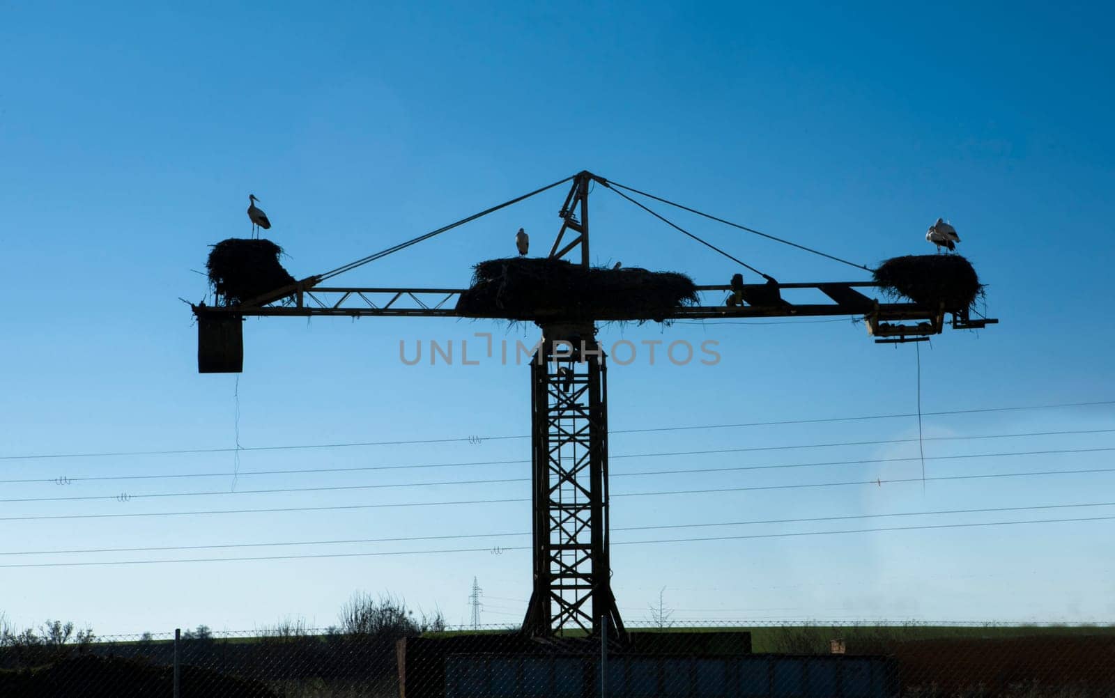Silhouette of white stork nesting over old construction crane. Symbol of Extremadura Region