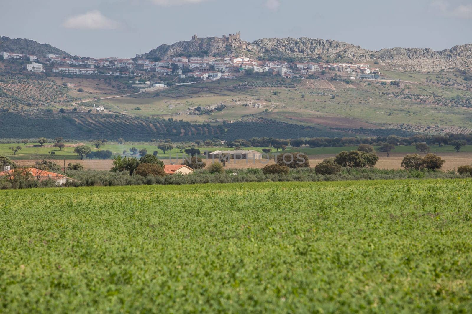 Benquerencia de la Serena hills, Extremadura, Spain. Peas plantation at the forefront