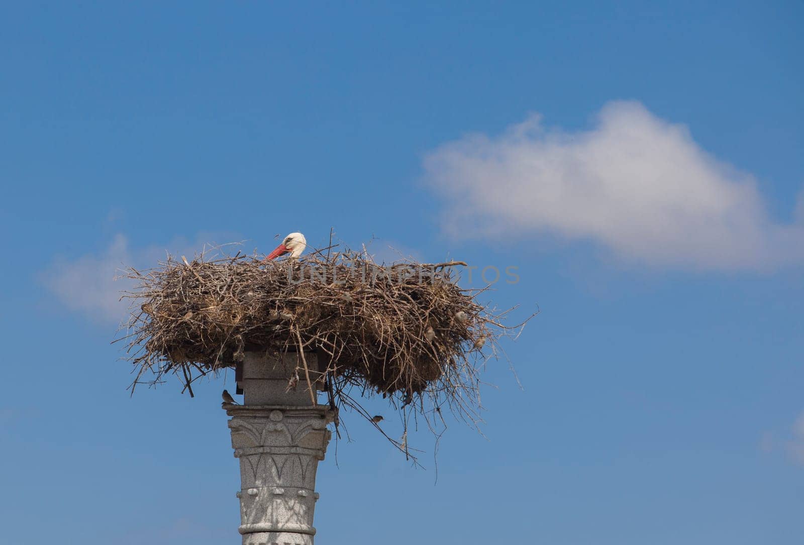 Distyle of Zalamea replica with stork nest on top. Roundabout monument close to Quintana de la Serena, Extremadura, Badajoz, Spain