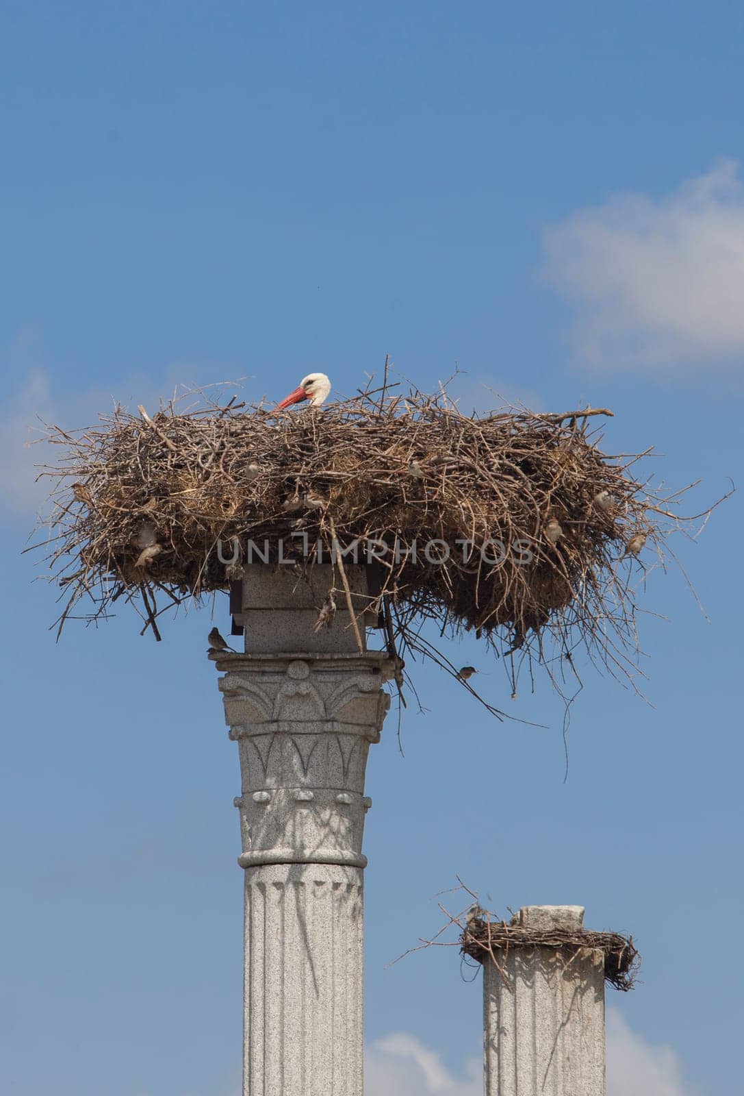 Distyle of Zalamea replica with stork nest on top. Roundabout monument close to Quintana de la Serena, Extremadura, Badajoz, Spain