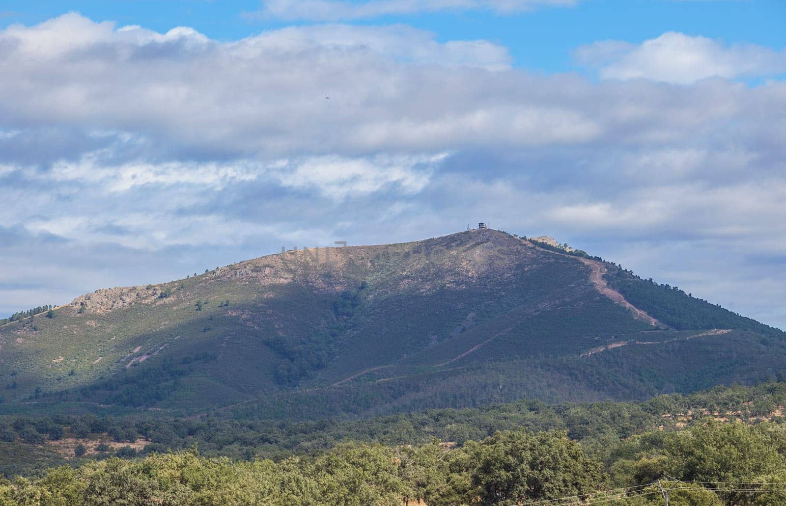 Fire lookout tower over forest of Aceituna, rural village in Alagon Valley. Caceres, Extremadura, Spain