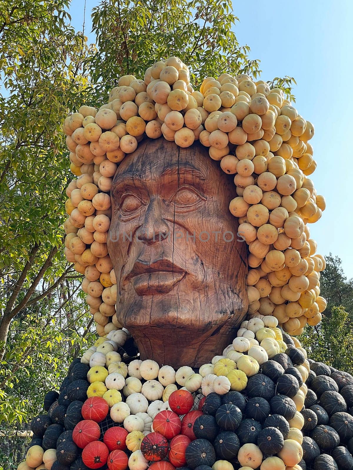 Pumpkin Beethoven
