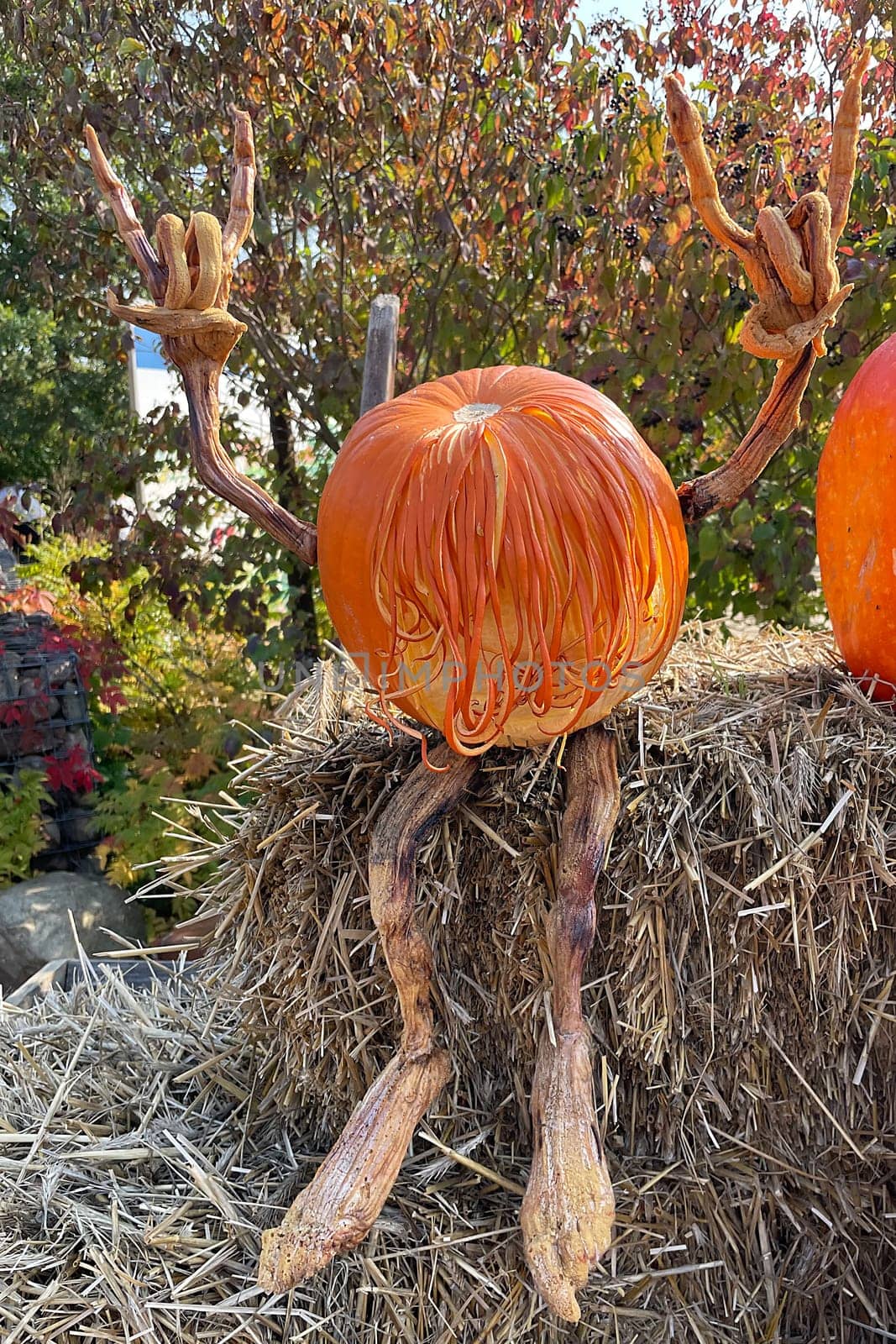 Pumpkin Headbanger