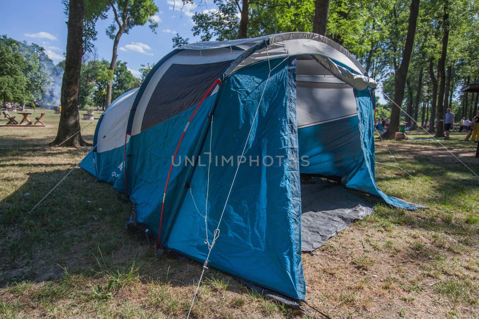 Camping tent at wild campsite surrounding the pine forest on summer sunny daylight.