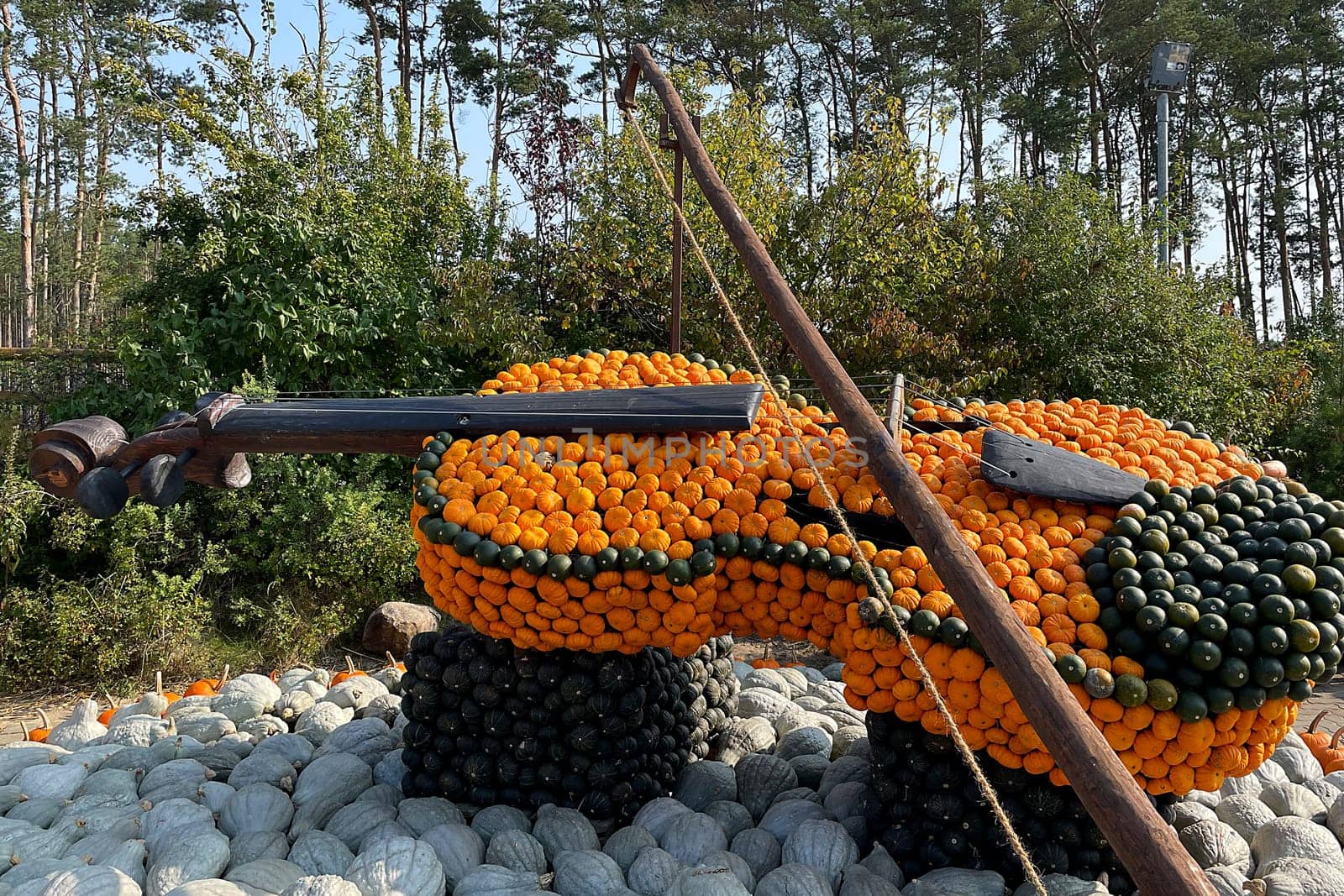 Pumpkin Violin