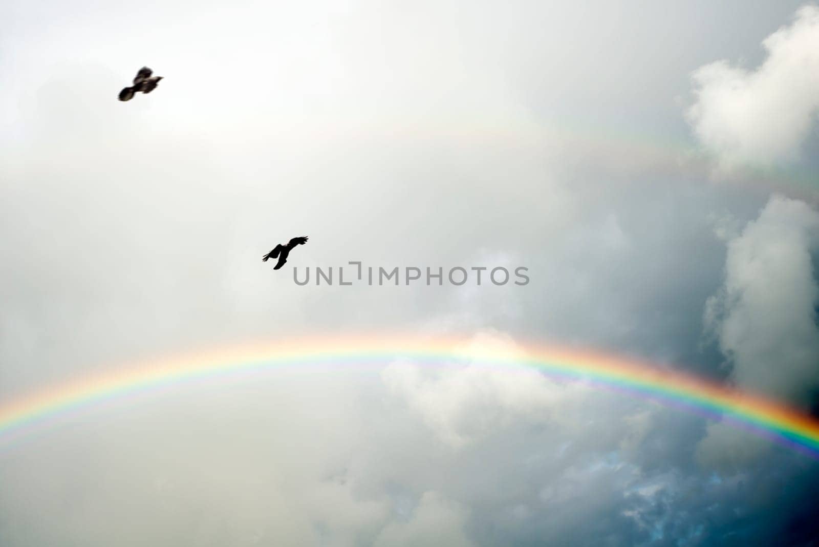 two crows flying in the storm winds with a rainbow in the background