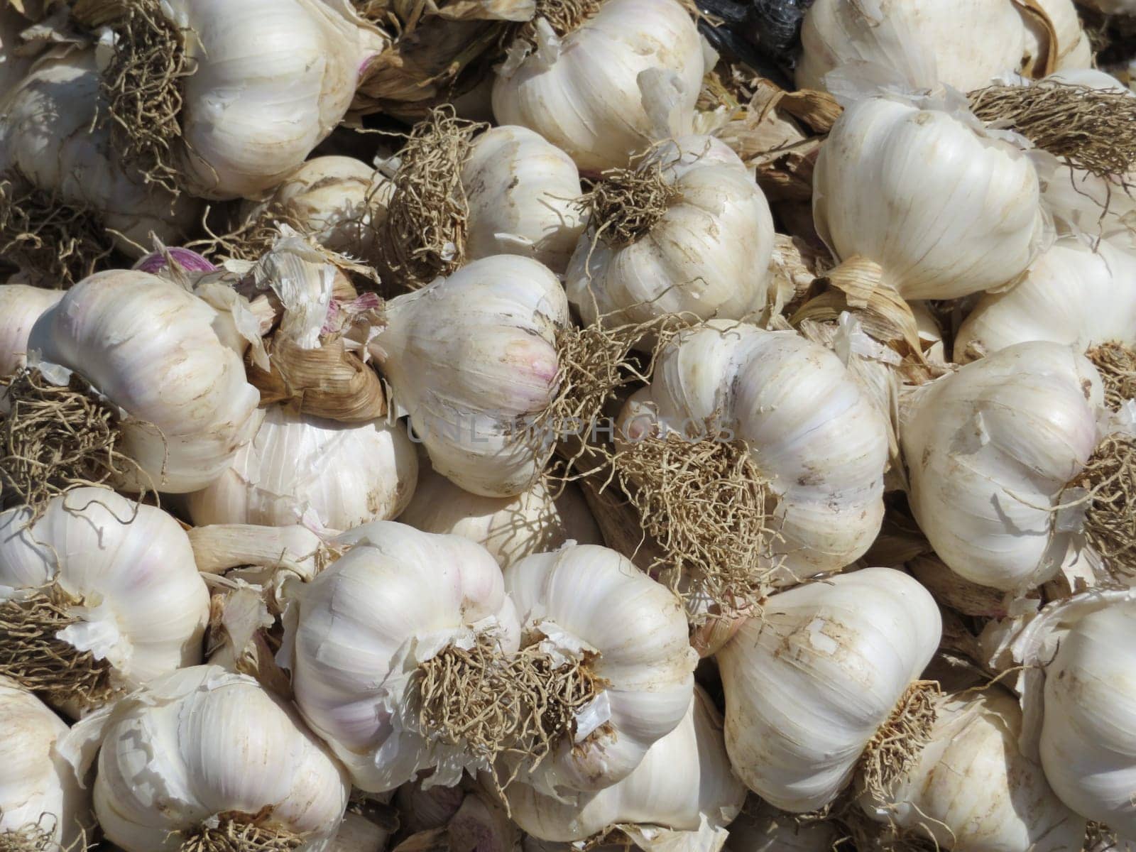 excellent natural garlic tasty aromatic fat spices cooking
