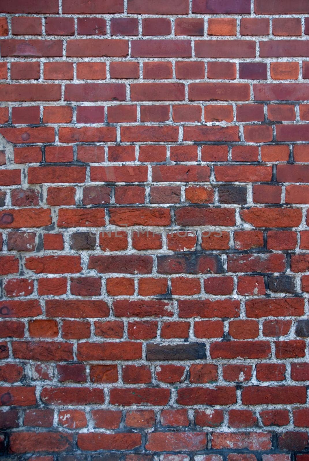 Bricks