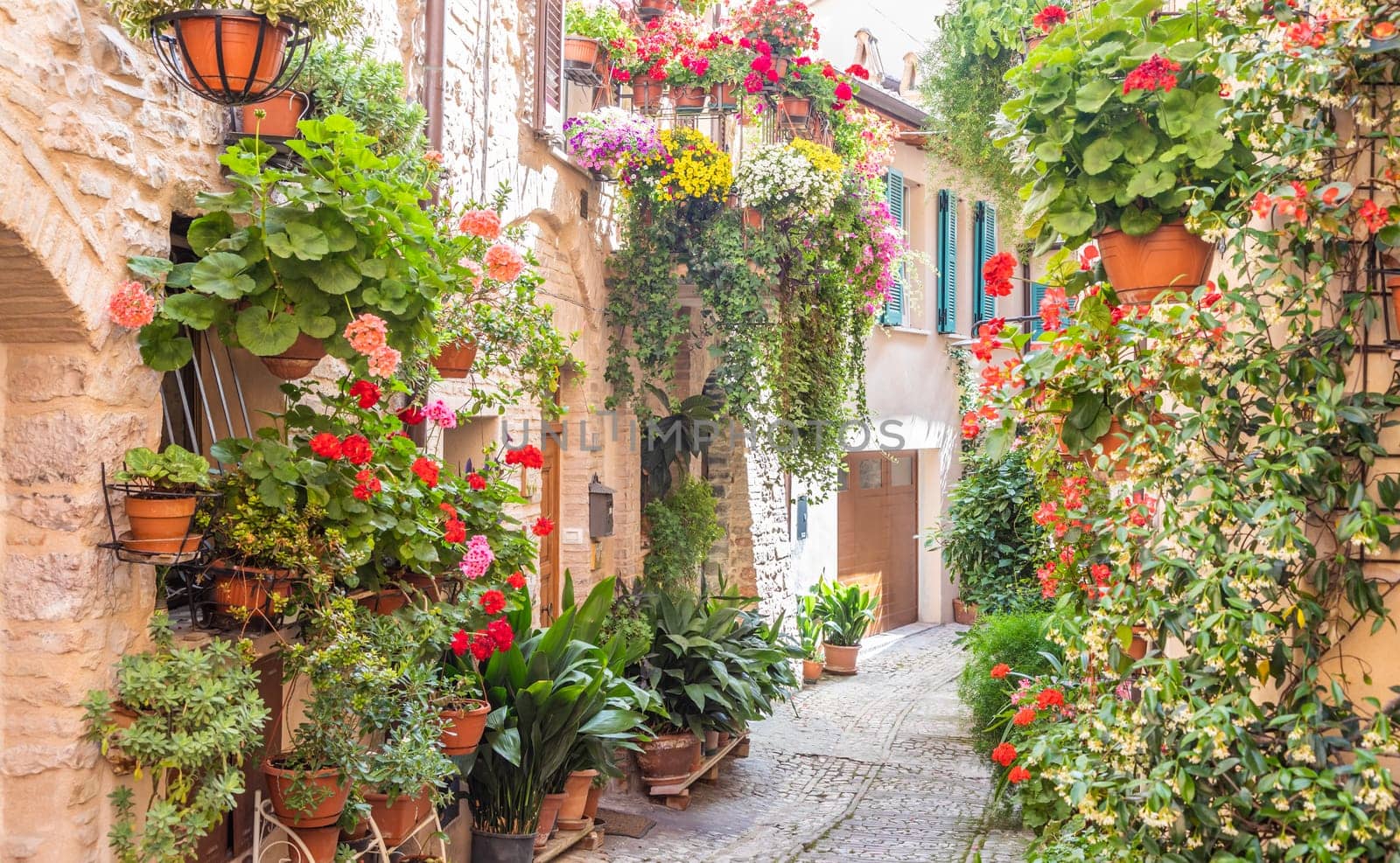 Spello, Italy - Circa June 2021: flowers in ancient street. Spello is located in Umbria region, Italy.