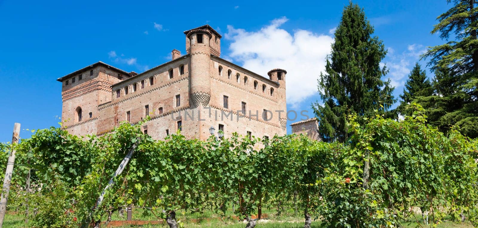 Vineyard in Piedmont Region, Italy, with Grinzane Cavour castle in the background. The Langhe is the wine district of Barolo wine.